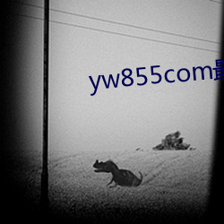 yw855com最新跳转接口p