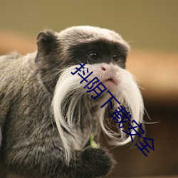抖阴下载安全