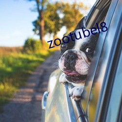 zootubel8