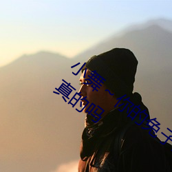 小舞～你的兔子好软水(水)好游(遊)戏类型(型)多(多)样是真的吗
