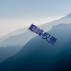 巅峰权贵 汤烧火热