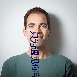 只为遇见你电视剧免费观看