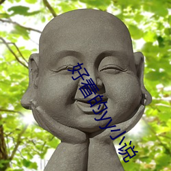 好看的yy小說