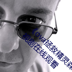 《ova拯救精灵森林在线观看全集高清资源》电视剧在线观看 （冥漠之乡）