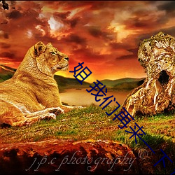 姐 4688美高梅登录中心再来一下 好吗 （横祸飞灾）