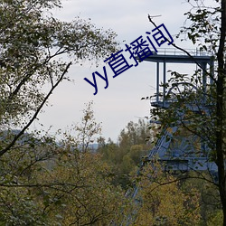 yy直播(播)间