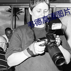 韋德高清圖片