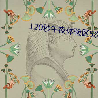 120秒午夜體驗區5次