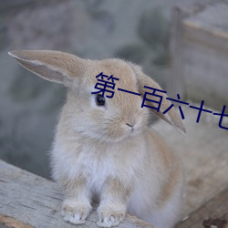 第一百六十七章:水做(zuò)的女人(H)