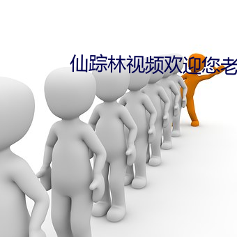 仙踪林视频欢迎您老狼信息 （扫帚星）
