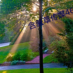 含羞草传媒46黄在线看