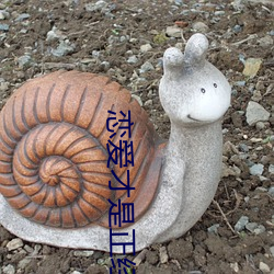 戀愛才是正經事