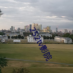 252tv影院 （心不两用）