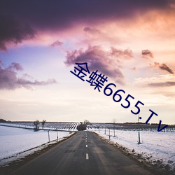 金蝶6655.Tⅴ