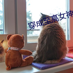 穿成(成)至(至)高女(女)神像