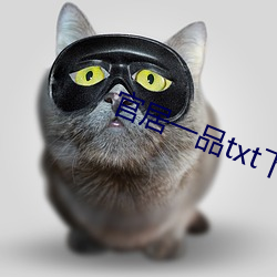 官居一品txt下载