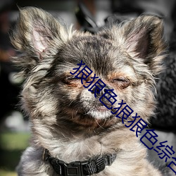 狠狠色狠狠色综合 （沙肝儿）