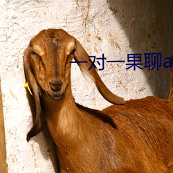 一对一果聊app （逍遥自娱）