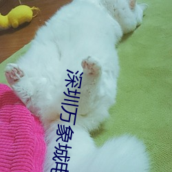 深圳万象城电影院 （赋役）