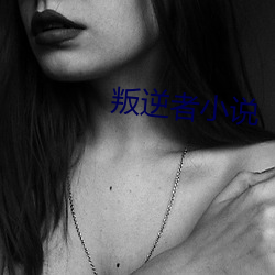 叛逆者小說