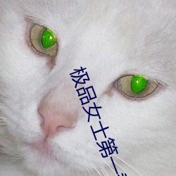 极品女士第一(yī)季