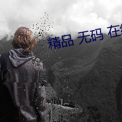精品 无码 在线观看