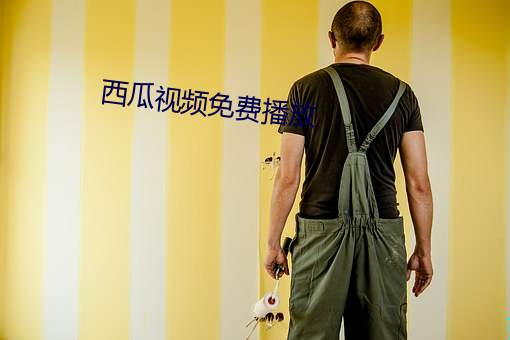 西瓜視頻免費播放