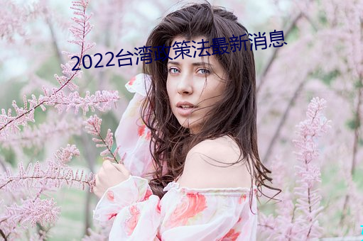 2022台湾政策法最新消(消)息(息)