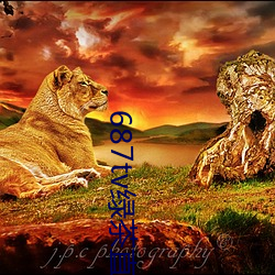 687tv绿(綠)茶(茶)直(直)播间sky