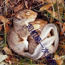 司机第一次见领导应注意什么