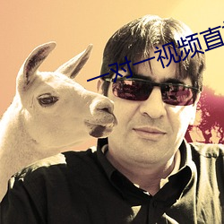 一(yī)对一视频(pín)直播软(ruǎn)件开发(fā)