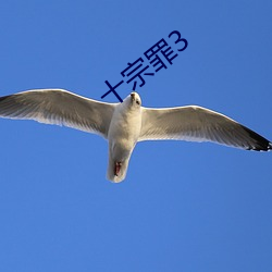 十宗罪3
