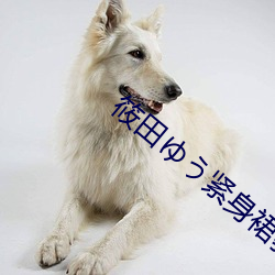 筱(xiǎo)田ゆう紧身裙教师在线(xiàn)播