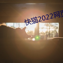 快猫2022网页版直接进入