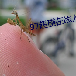 97超碰在(在)线(線)人人