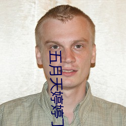 五月天婷婷丁香中文字幕