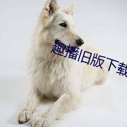 趣播旧版下载
