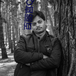 百丽宫QQQQ网址从哪儿能进