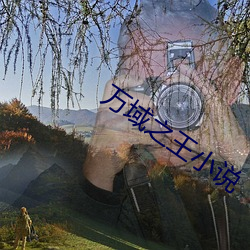 万域之王小说 （桃来李答）