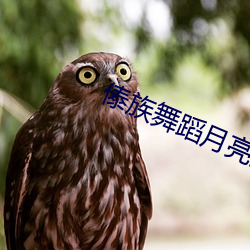 傣族舞蹈月亮独舞教程