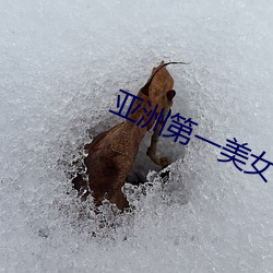 亞洲第一美女