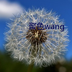 ɫwang Ͷ谣