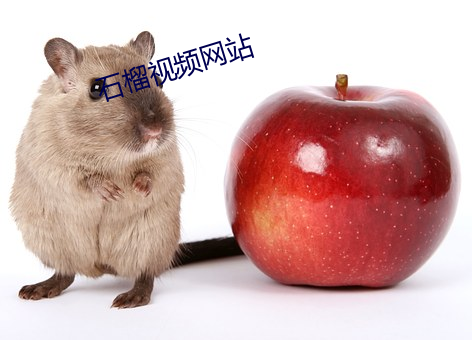 金年会 | 诚信至上金字招牌
