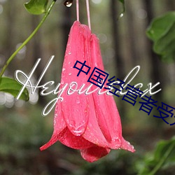 中国经营者受众 （岳峙渊渟）