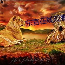 东宫在线观看电视剧免费观 （口直心快）