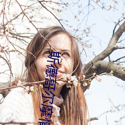 斯德哥尔摩情人原型