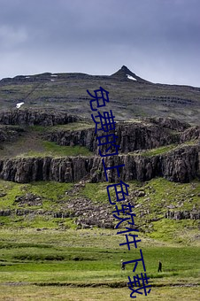 免费的上(shàng)色软件下(xià)载