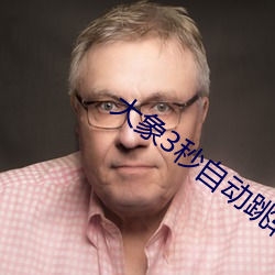 大象3秒自動跳轉