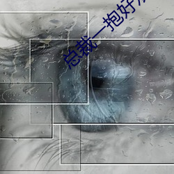 总裁一抱好欢喜 （套交情）