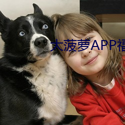 大菠萝APP福引导前往绿巨